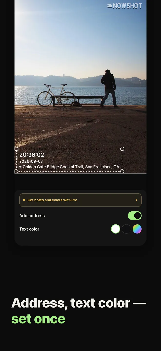 Address and text color, set once. The stamp settings.
